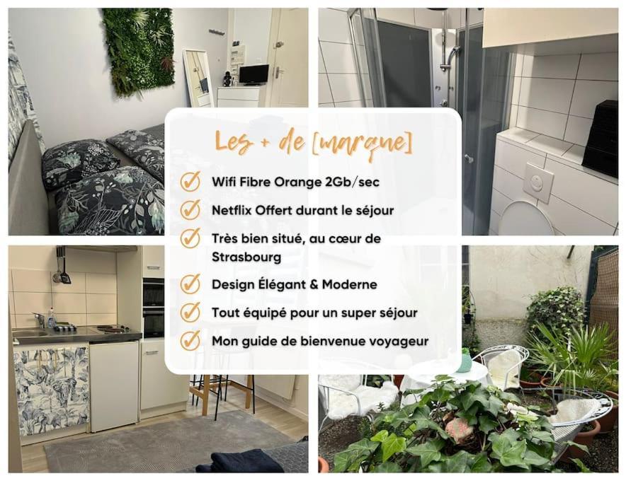Studio Proche Du Centre-Ville ストラスブール エクステリア 写真
